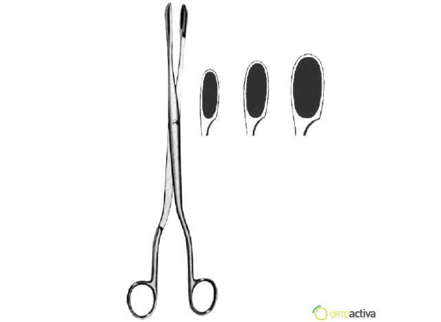 PINZA WINTER 28 cm. CURVA...