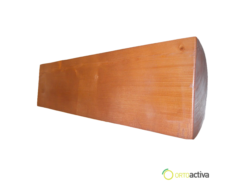 TRONCO PROPIOCEPTIVO (TRONCO DE EUCONIA)